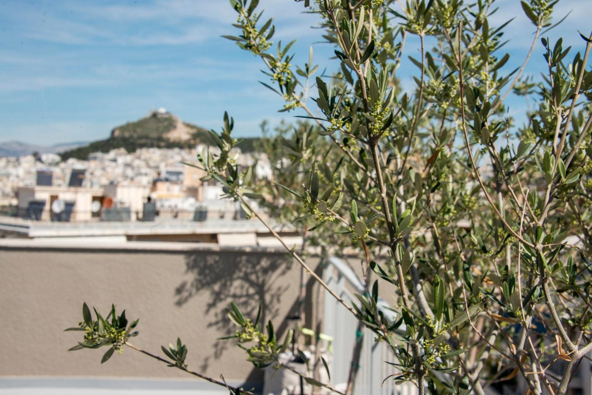 Appartamento The Athenian Oasis Esterno foto